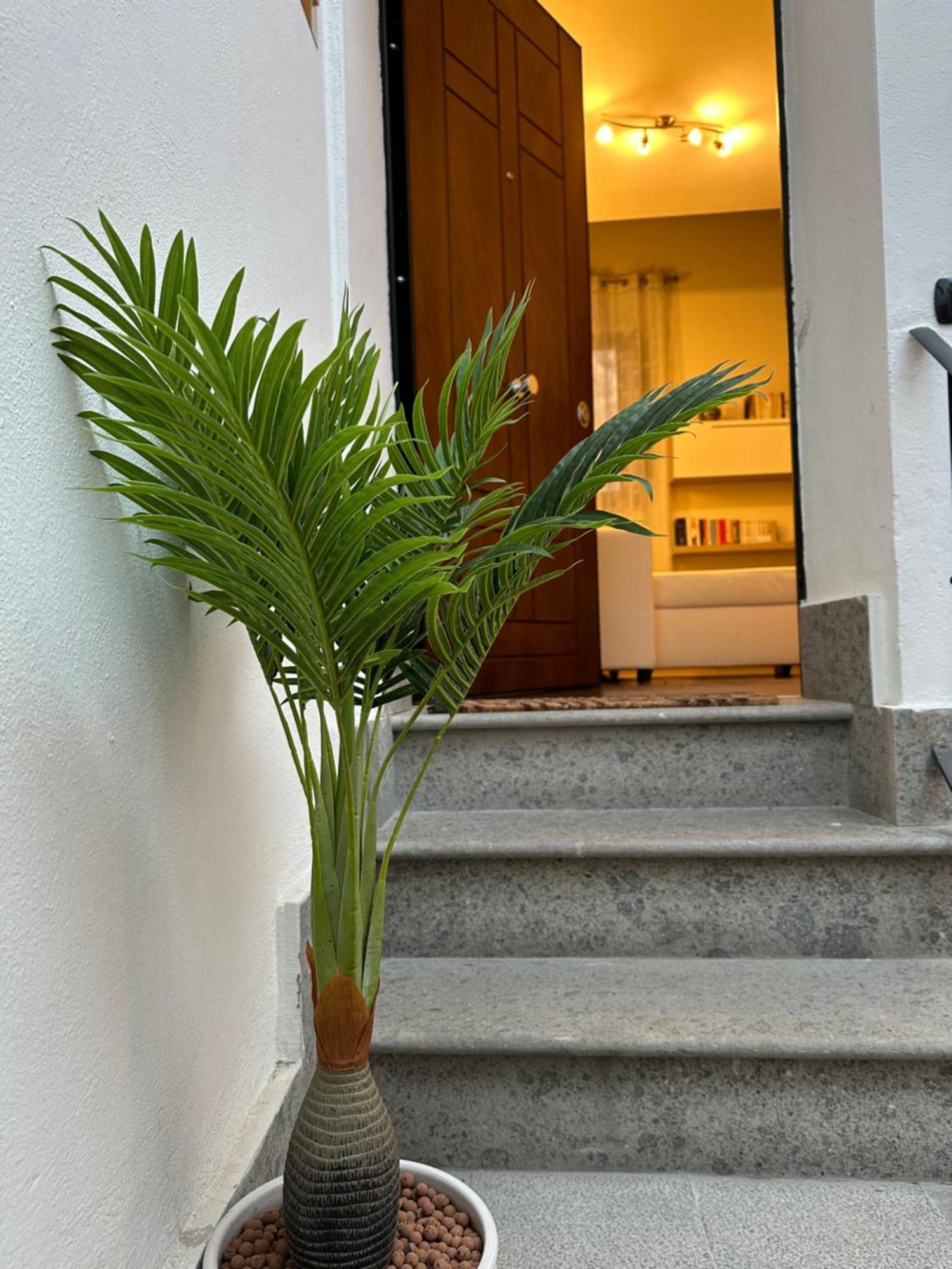 Guest House Palazzo Bussi Viterbo Eksteriør billede
